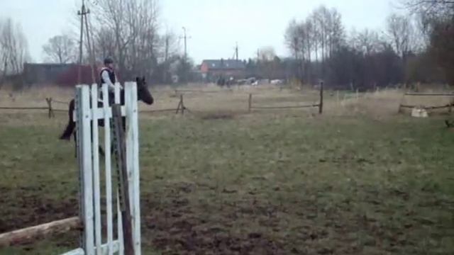 kamfora смотреть онлайн