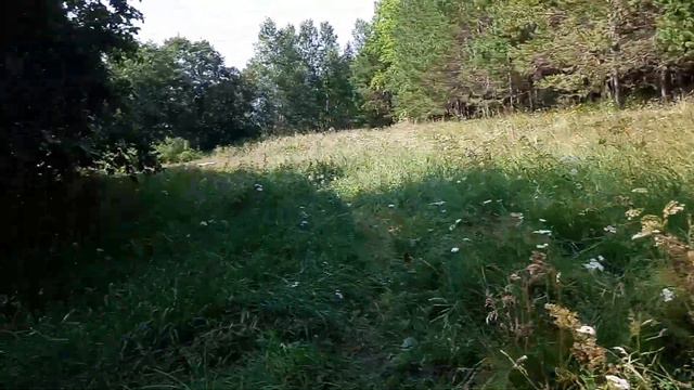 ОЗЕРО БОА С. ТЕМЯСОВО Р. БАШКОРТОСТАН