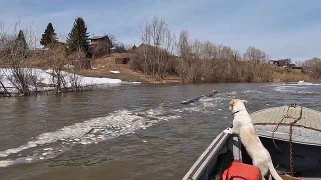 Живу в Сибири - Ловлю Крокодилов и Чекерю Лес ) смотреть онлайн