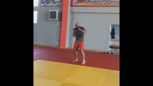 Кертис Блэйдс vs Шамиль Абдурахимов ✦ ПРОГНОЗ ✦ UFC 242 смотреть онлайн