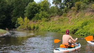 Сафари-сплав в Бузулукском бору на SUP-board по реке Боровке