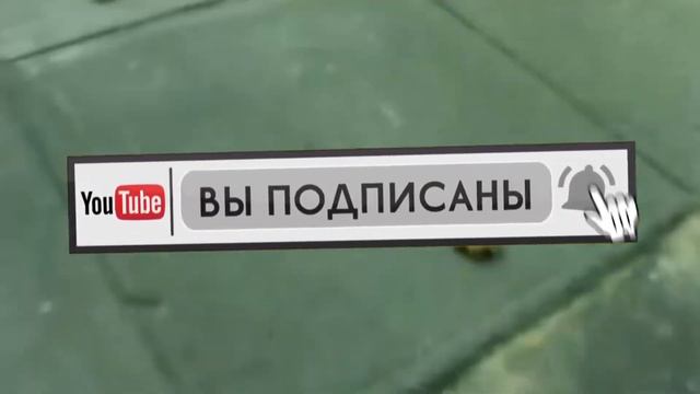 5 ТРЕНОЖНИКОВ СНЯТЫХ НА КАМЕРУ - Lion Channel смотреть онлайн