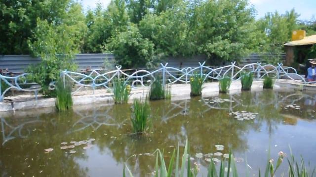 Зоопарк Придорожное. 04.06.2017. Детский клуб "Теремок" г.Макеевка. смотреть онлайн