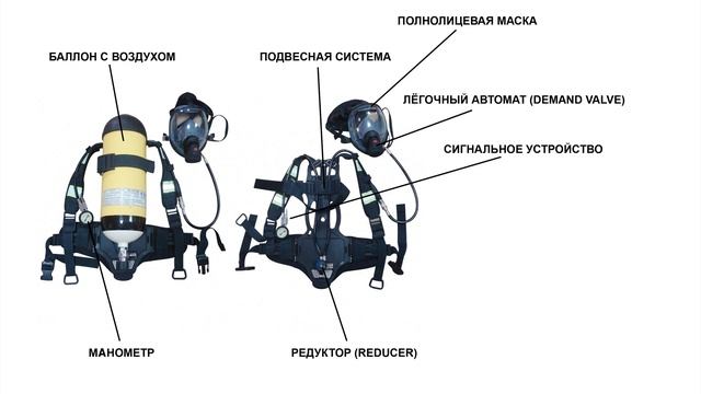 Дасв закрепляется по групповому принципу. Дасв закрепляется по групповому принципу