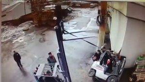 Раздавило бедолагу