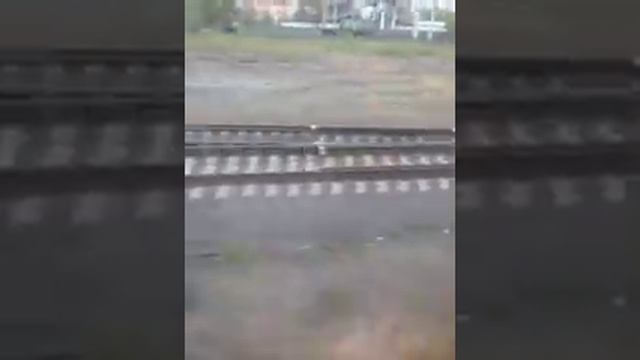 Электричка Москва Пассажирская Ленинградский вокзал Крюково станции Нати Моссельмаш Ховрино