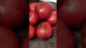 Мисс Форье. Коллекционный томат из Франции