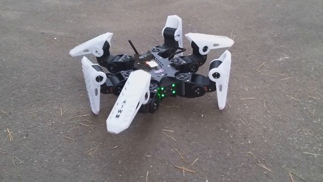 AIWM Hexapod v1.00 смотреть онлайн