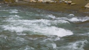 Autumn in the Ukrainian Carpathians - 2K Nature Documentary Film - Part 1.webm