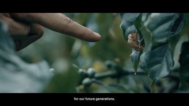 REGENERATION - Louis Dreyfus Company