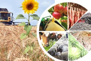 Автоклав 2 в 1 классический. Мини консервный завод на дому.