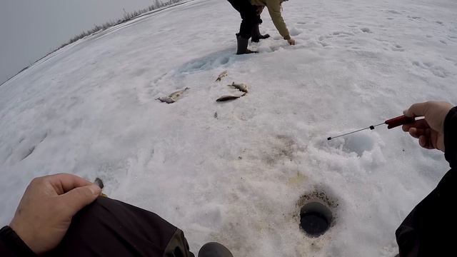 Закрытие зимнего сезона 2023! смотреть онлайн