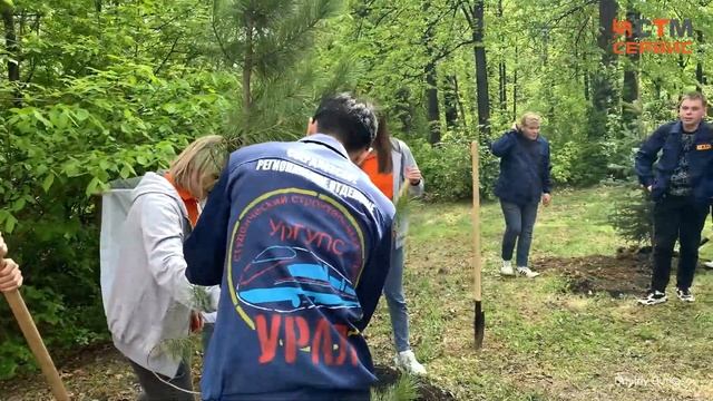 ООО "СТМ-Сервис" Чистый воздух смотреть онлайн