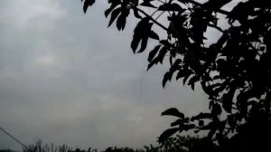 Антенна Длинный Луч и её параметры