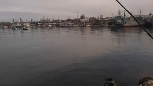 Ловля кефали в Севастополе