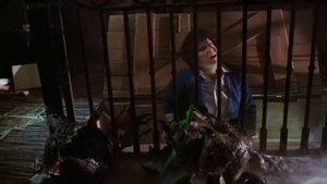 Гремлины | Клип Из Фильма (1/5) (1984)