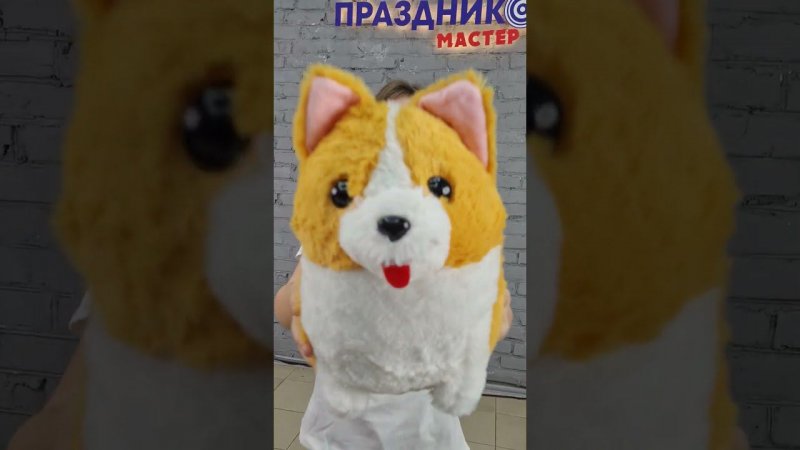 Мягкая игрушка Корги #shorts