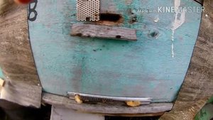 ВЕНТИЛЯЦИЯ В УЛЬЯХ, КОНТРОЛЬ ТЕМПЕРАТУРЫ И ВЛАЖНОСТИ!