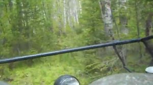 По бездорожью в тайге на Газ 71. Такого вы ещё не видели