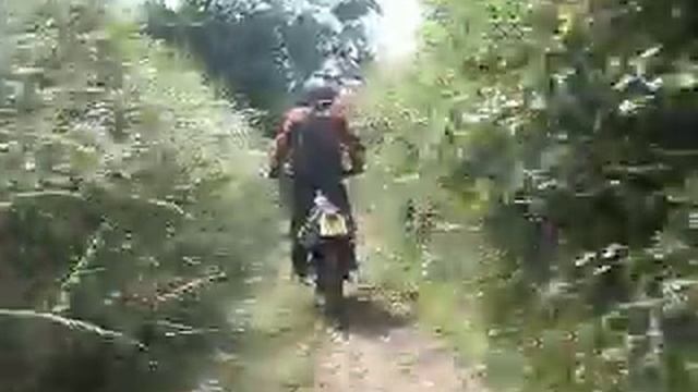 Devon Green Lanes Plymtree Area (nice long - easy lane) смотреть онлайн