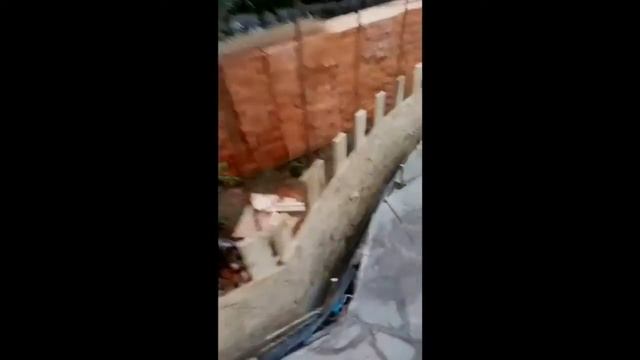 Реконструкция зоны барбекю смотреть онлайн