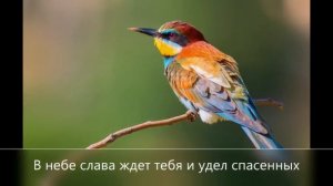 Прийди. Детские христианские  караоке