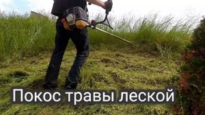 Покос травы бензокосой (триммером)