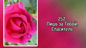 Гимны надежды 252 Лишь за Тобой, Спаситель (-)