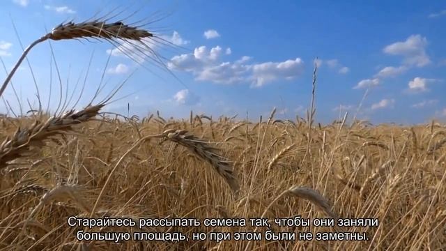 Сильный заговор на продажу вещей: гарантия успеха