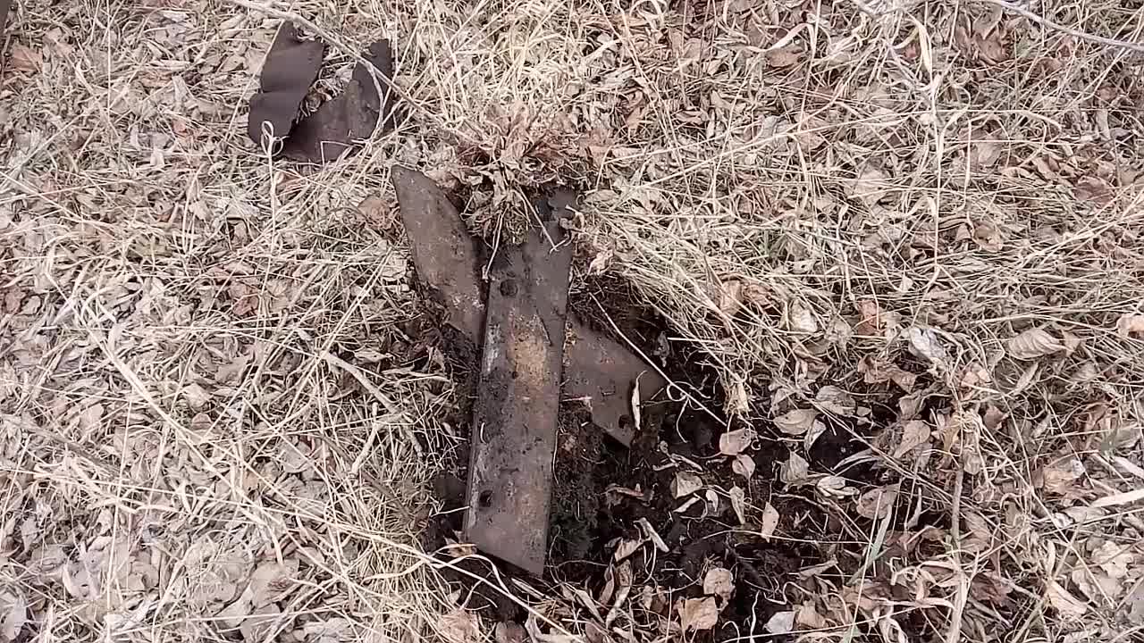 На лесной полосе! металлокоп!!
