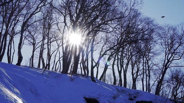 Никольская сопка (Сопка любви) - Петропавловск-Камчатский