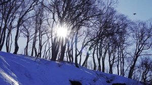 Никольская сопка (Сопка любви) - Петропавловск-Камчатский