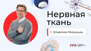 Нервная ткань | Владимир Меркурьев (FPA)