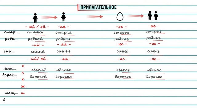 #8. Русский язык как иностранный. Прилагательное | Russian as a foreign language Adjective | 形容词