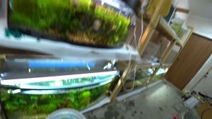 ИНТЕРЕСНЫЕ ПАРАМЕТРЫ ВОДЫ В АКВАРИУМЕ!!!