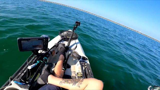 Florida Keys Fishing 7 Mile Bridge & Ledge Scouting - Whatever Bites! смотреть онлайн