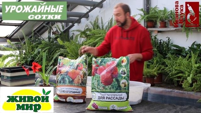 Вот ТАКОЙ ГРУНТ нужен для хорошей рассады! ЭТОГО вы могли не знать о земле.