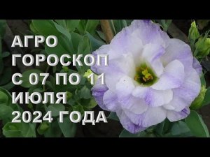 Агрогороскоп с 07 по 11 июля 2024 года Agrohoroscope from July 7 to July 11, 2024