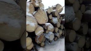 Лес 400 кубов отборного леса