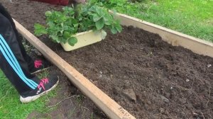 Подготовка грядки для КЛУБНИКИ, СУПЕР УДОБРЕНИЯ ДЛЯ СУПЕР УРОЖАЯ