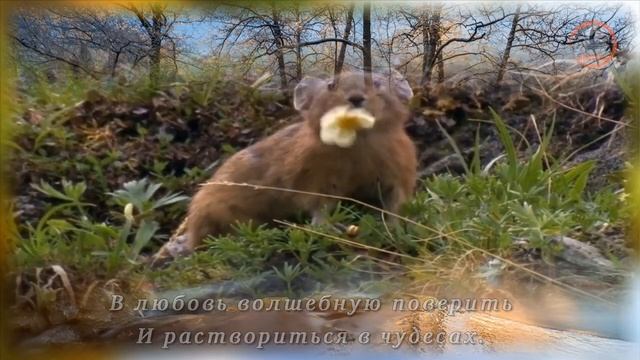 Поздравление с Первым Днём Весны! Привет, Весна! Прощай, Зима! Музыкальная открытка