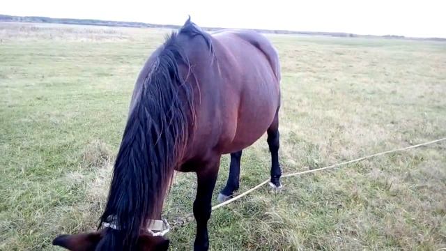 14 жовтня 2020 р. смотреть онлайн