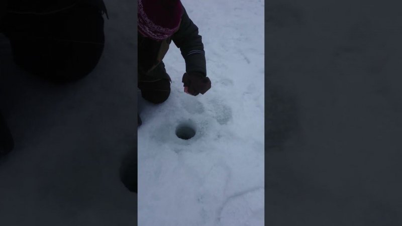 Рома снова в обойме