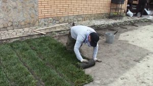 Укладка рулонных газонов в Новосибирске