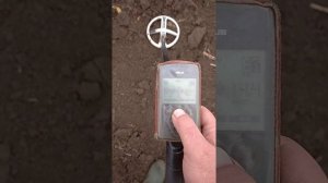 Быстрая настройка баланса грунта XP Deus