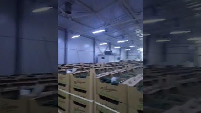 Электропогрузчик | Электрокара