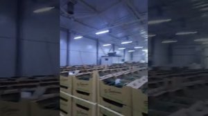 Электропогрузчик | Электрокара