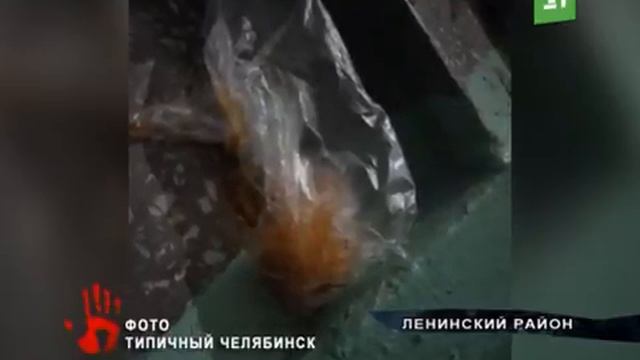 Чуть не задохнулись Жители одного из челябинских домов пожаловались на едкий запах смотреть онлайн