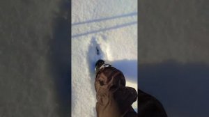 "Детокс 13 - 14 февраля" или "Как я выживала"