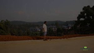 Чайная гора Булан - путешествие в деревню Лаобаньчжан, Юньнань